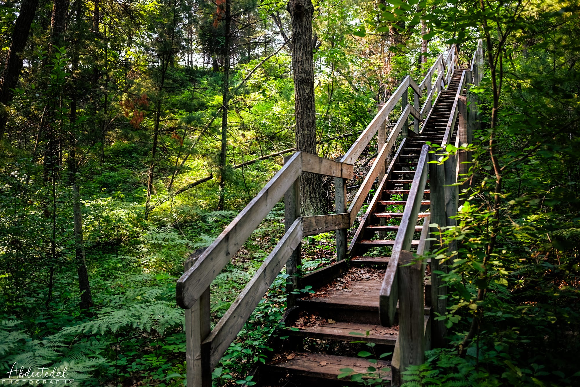 Steps Into Serenity