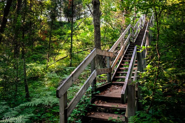 Steps Into Serenity